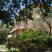APARTvila dolinaSUNCA, private accommodation in city Buljarica, Montenegro